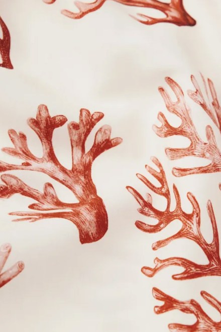 4067706062899_photo4